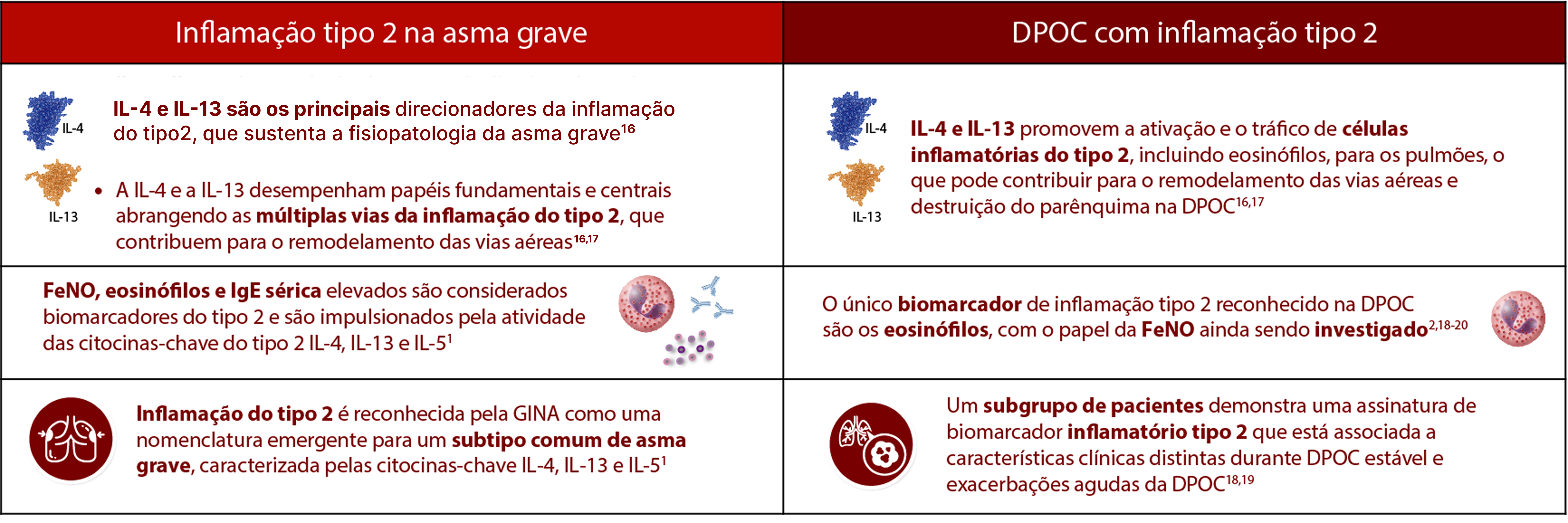 tabela inflamação tipo 2
